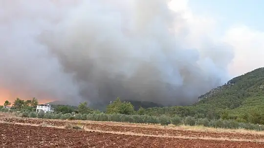 Köyceğiz yanmaya devam ediyor