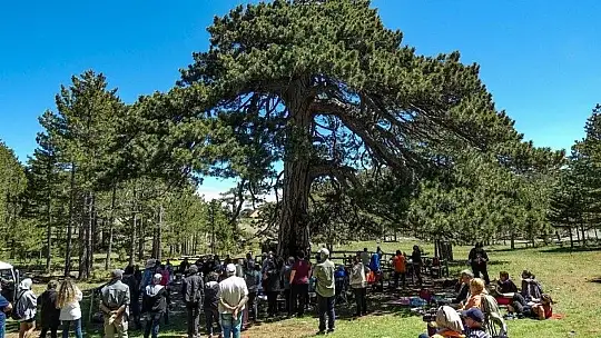 Köyceğizli doğaseverler Topuklu Yaylası'na çıktı