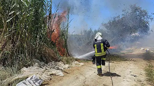 Kullanılmayan araçta başlayan yangın Sazlık alana sıçradı