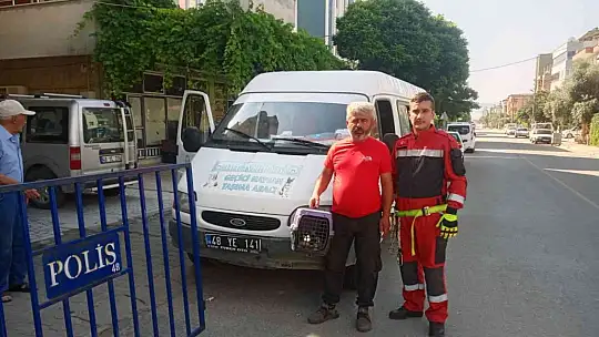 Kullanılmayan dairede mahsur kalan kediyi itfaiye kurtardı