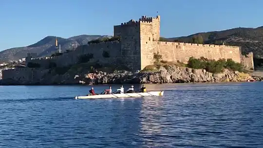 Kürekçilere yunus sürprizi