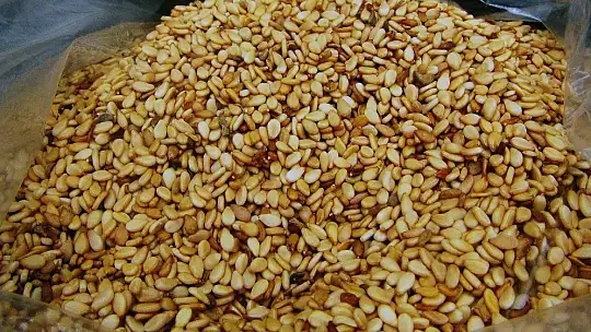 Küresel iklim Altın Susam'ı da vurdu