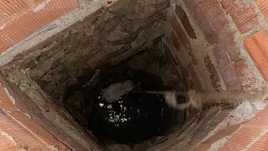 Kuyuya düşen buzağıyı kurtarmak için seferber oldular