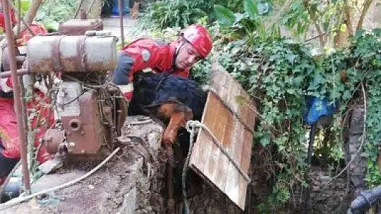 Kuyuya düşen köpeği itfaiye kurtardı