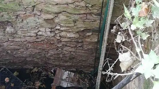 Kuyuya düşen köpeği itfaiye kurtardı