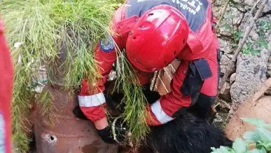 Kuyuya düşen köpeği itfaiye kurtardı