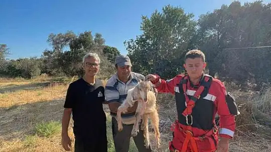 Kuyuya düşen oğlak kurtarıldı