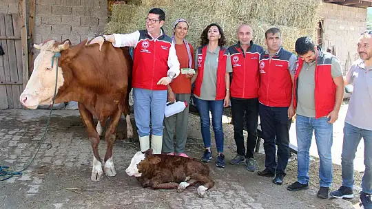 'BUZAĞINA SAHİP ÇIK' PROJESİ 13 İLÇEDE UYGULANACAK