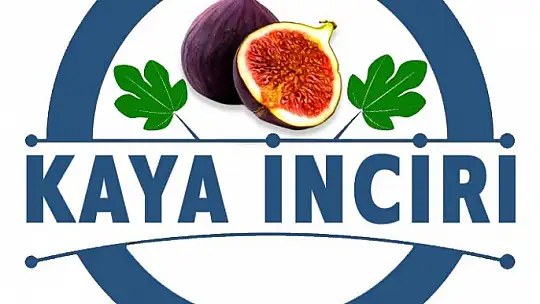 FTSO girişimiyle Fethiye kaya inciri coğrafi işaret aldı