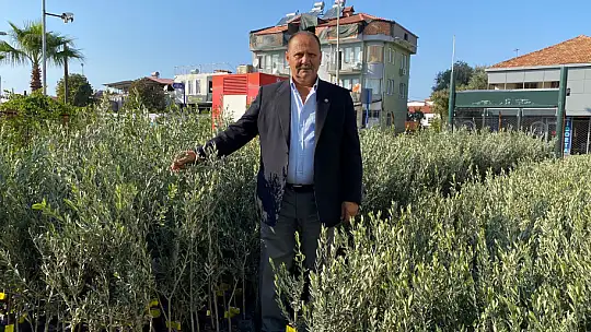 BAŞKAN KARAYİĞİT, 'ZEYTİN FİDANLARI GELDİ'