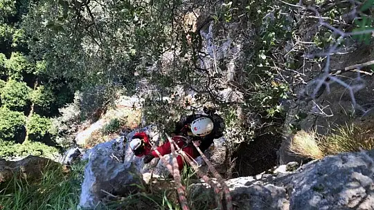 Marmaris AKUT ekibinden keçi kurtarma operasyonu