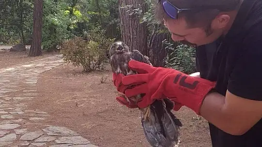 Marmaris Belediyesi Geçici Hayvan Bakımevi yangından etkilenen hayvanlara en güvenli alan oldu