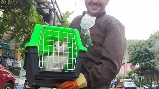 Marmaris Belediyesi Geçici Hayvan Bakımevi yangından etkilenen hayvanlara en güvenli alan oldu