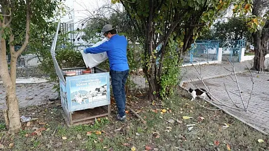 Marmaris Belediyesi sevimli dostları unutmadı