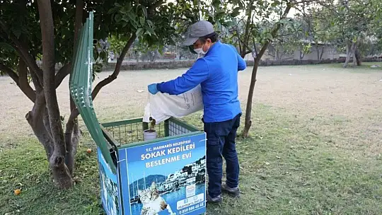 Marmaris Belediyesi sevimli dostları unutmadı