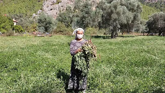 Marmaris Belediyesi tarım zirvesine katılacak