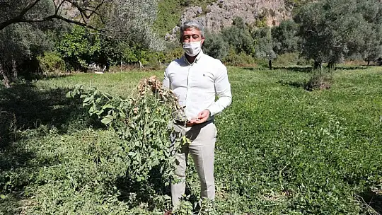 Marmaris Belediyesi tarım zirvesine katılacak