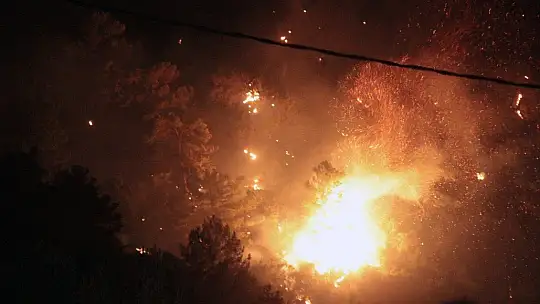 Marmaris'in ciğerleri yanıyor