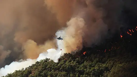Marmaris'in ciğerleri yanıyor