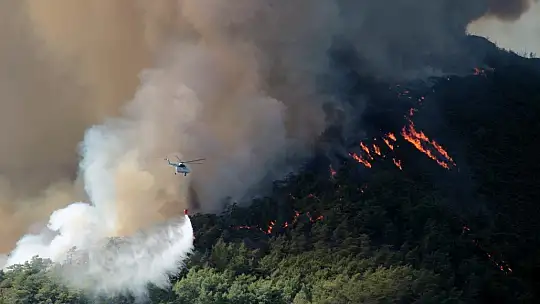 Marmaris'in ciğerleri yanıyor