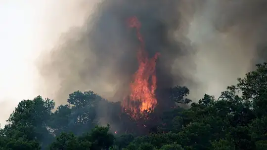 Marmaris'in ciğerleri yanıyor
