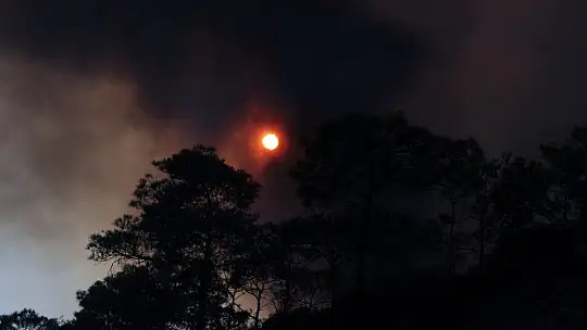 Marmaris'in ciğerleri yanıyor