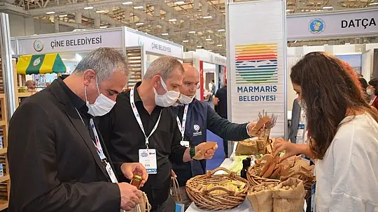 Marmaris'in yer fıstığına yoğun ilgi