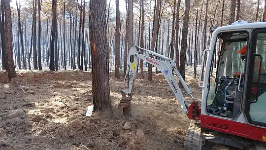 Marmaris polisi yangından zarar gören ağaçları yeniden yeşertmek için seferber oldu