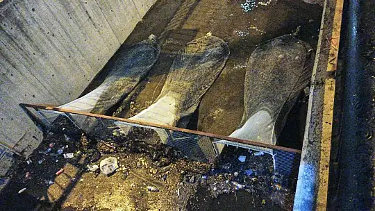 Marmaris'te 10 ton atığın denize ulaşmasını engelledi