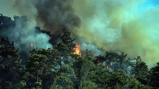 Marmaris'te 6. günde yangınla mücadele devam ediyor