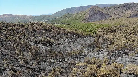 Marmaris'te alev savaşçılarının nöbeti devam ediyor