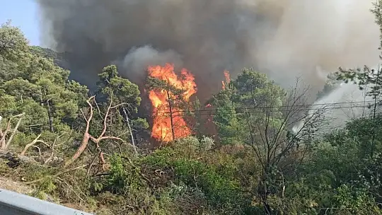 Marmaris'te alevlerle savaşta inanılmaz görüntüler