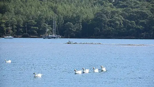 Marmaris'te deniz 1,5 metre çekildi