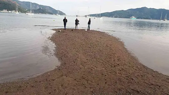 Marmaris'te deniz çekildi, olta balıkçılarının eli boş kaldı