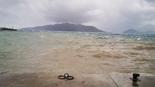 Marmaris'te denizin frengi değişti