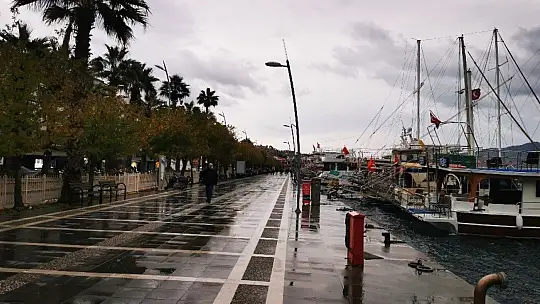 Marmaris'te denizin frengi değişti