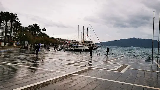 Marmaris'te denizin frengi değişti