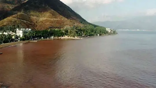 MARMARİS'TE DENİZİN RENGİ DEĞİŞTİ