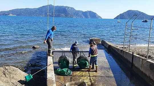 Marmaris'te dere ağızları ağ ile kapatılıyor