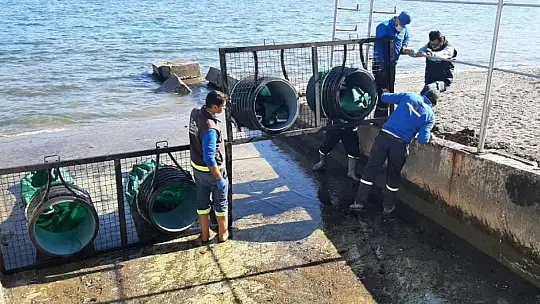 Marmaris'te dere ağızları ağ ile kapatılıyor