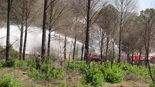 Marmaris'te gerçeği aratmayan yangın tatbikatı yapıldı