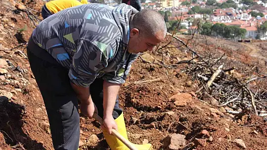 Marmaris'te gönüllüler fidan ve tohum dikimlerine devam ediyor