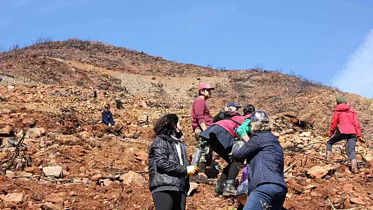 Marmaris'te gönüllüler fidan ve tohum dikimlerine devam ediyor