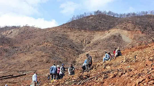 Marmaris'te gönüllüler fidan ve tohum dikimlerine devam ediyor