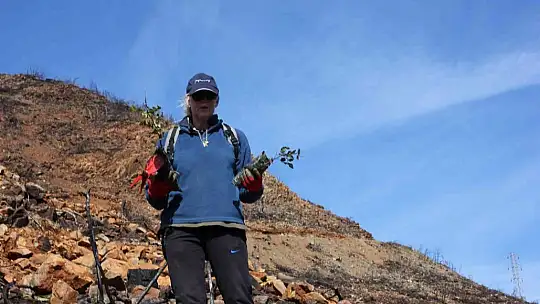 Marmaris'te gönüllüler fidan ve tohum dikimlerine devam ediyor