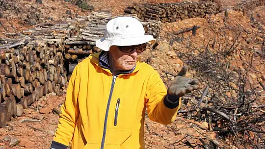 Marmaris'te gönüllüler fidan ve tohum dikimlerine devam ediyor