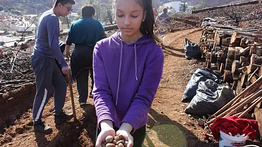 Marmaris'te gönüllüler fidan ve tohum dikimlerine devam ediyor