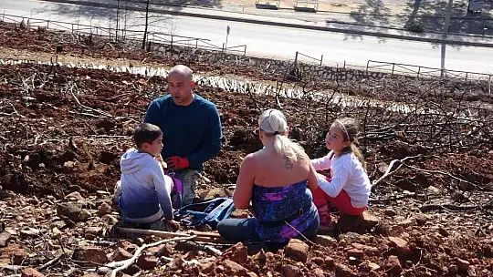 Marmaris'te gönüllüler fidan ve tohum dikimlerine devam ediyor
