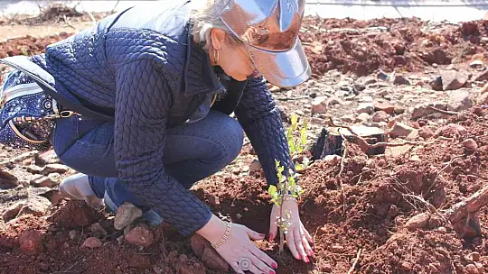 Marmaris'te gönüllüler fidan ve tohum dikimlerine devam ediyor