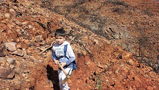 Marmaris'te gönüllüler fidan ve tohum dikimlerine devam ediyor